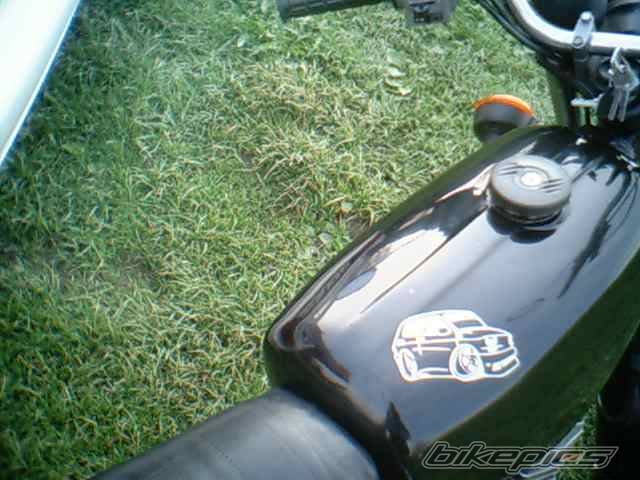 Photo 345535