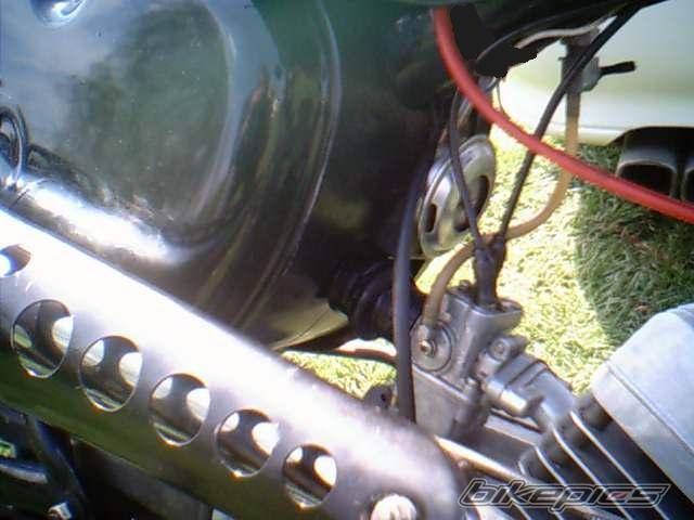 Photo 345537