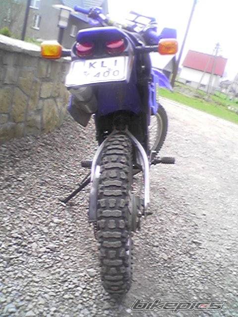 Photo 345587