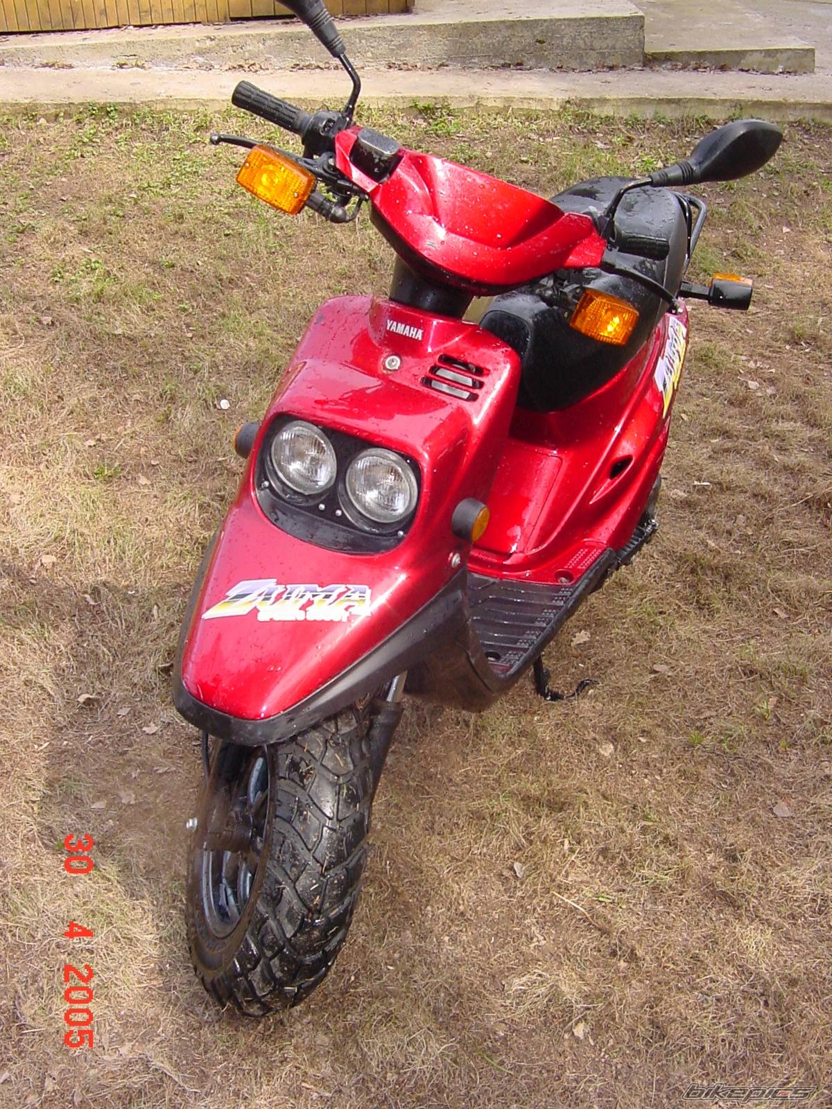 Photo 345737