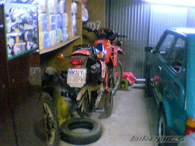 Photo 345902