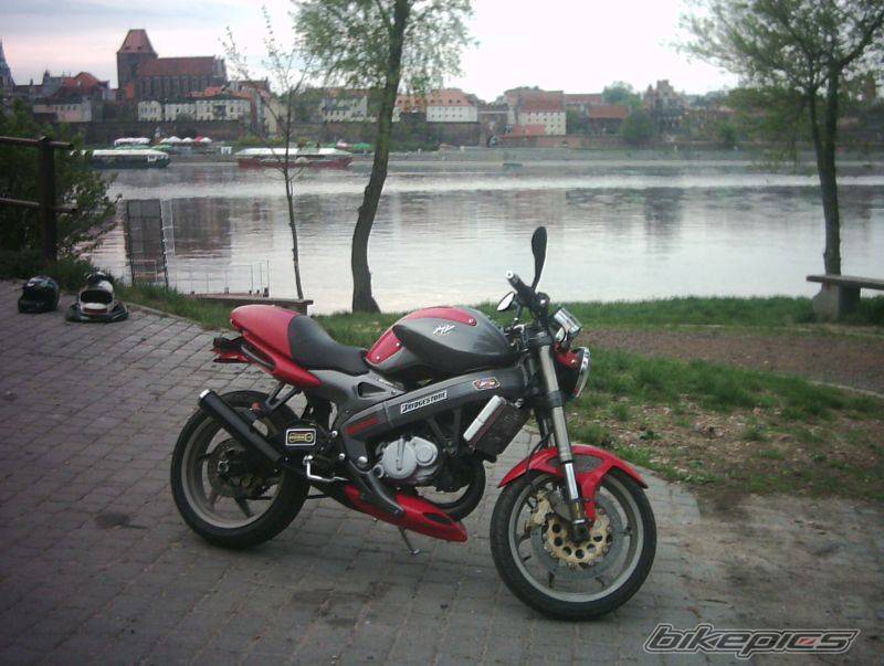 Photo 345951