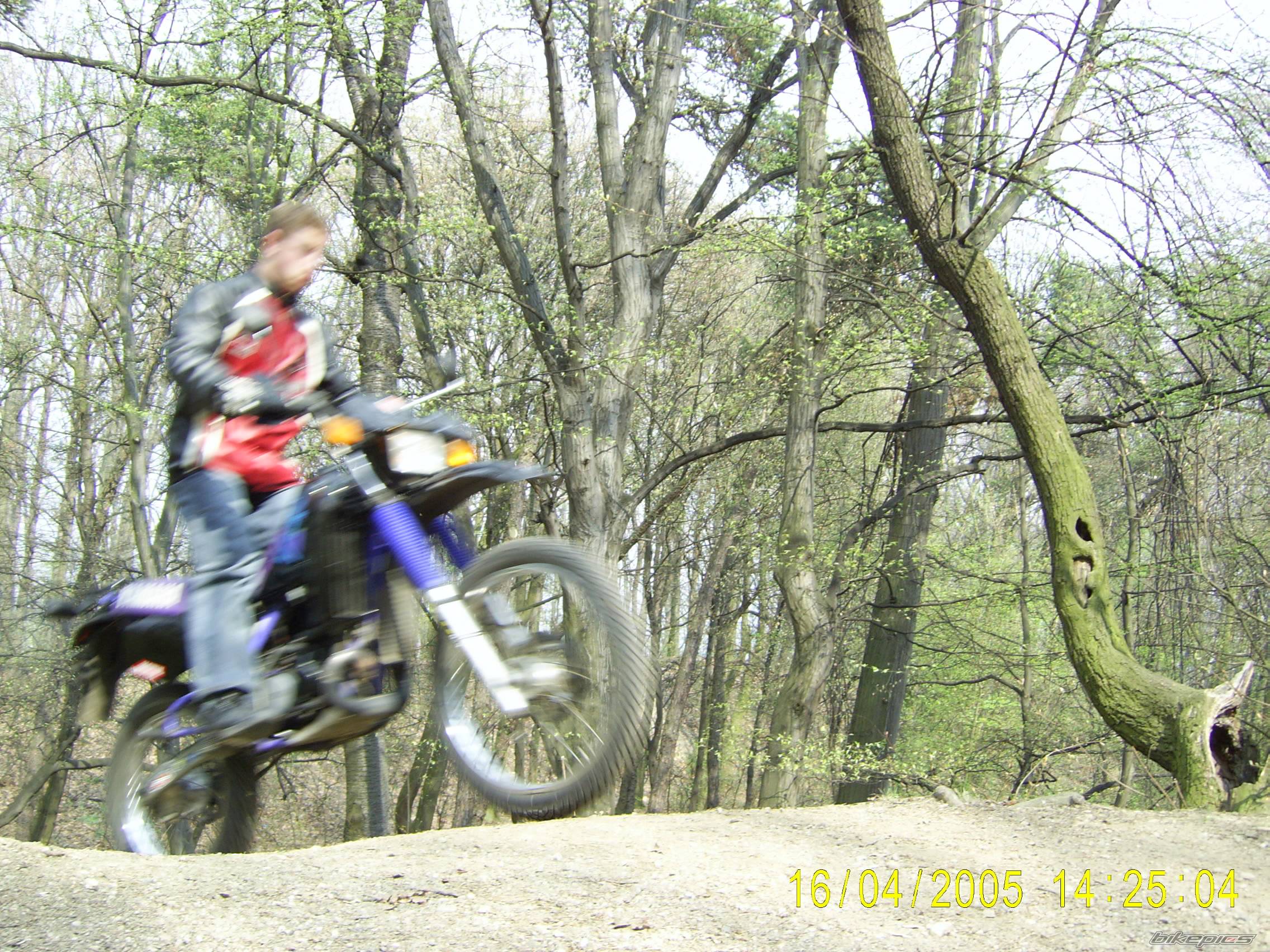Photo 345993