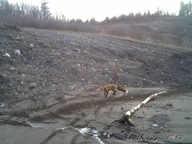 Photo 346163