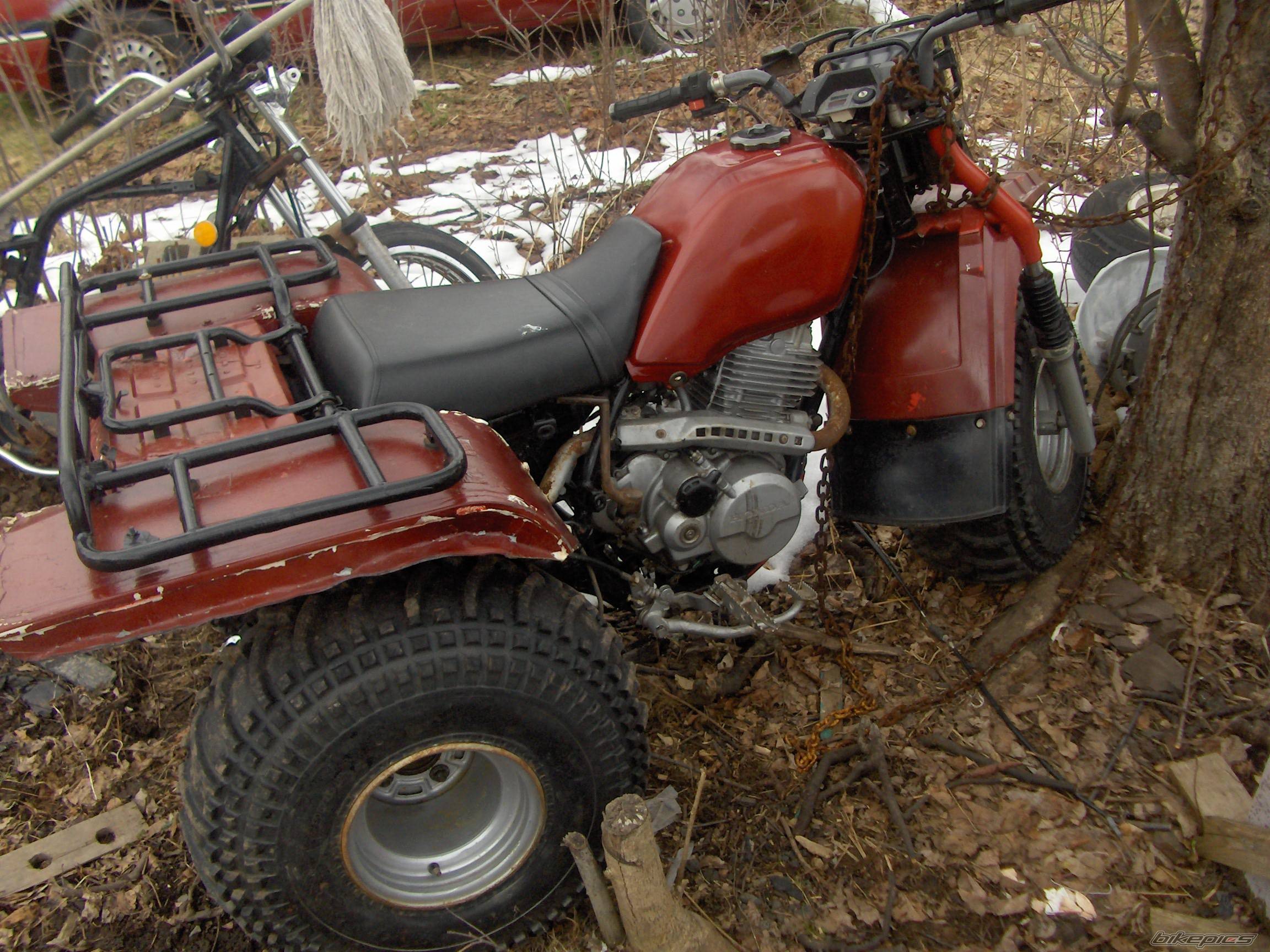 Photo 346171