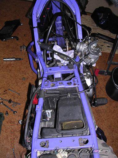 Photo 346322