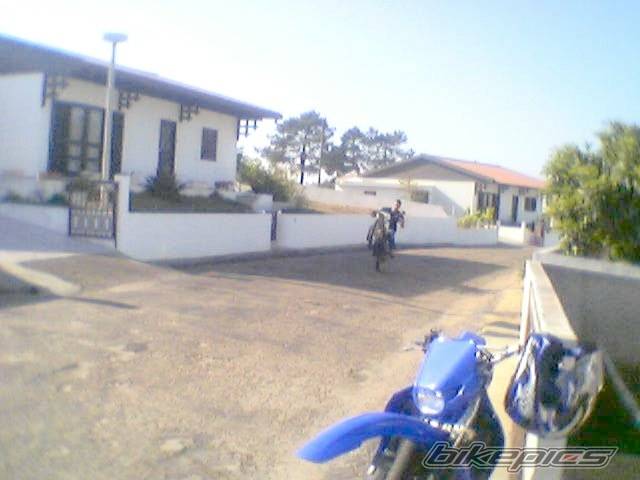Photo 346364