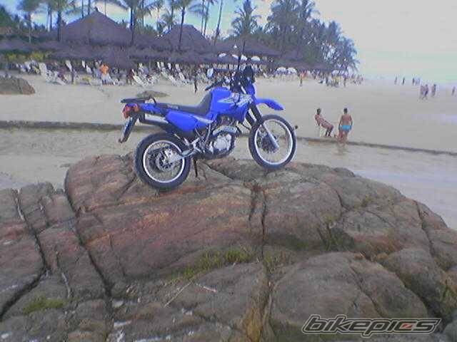 Bike Photo 346418