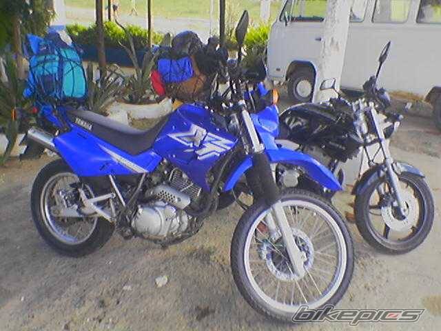 Bike Photo 346421