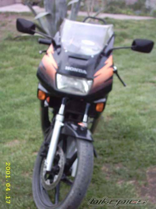 Photo 346634