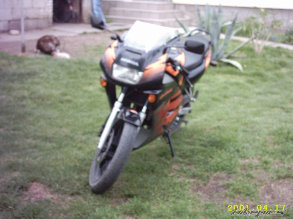 Photo 346636