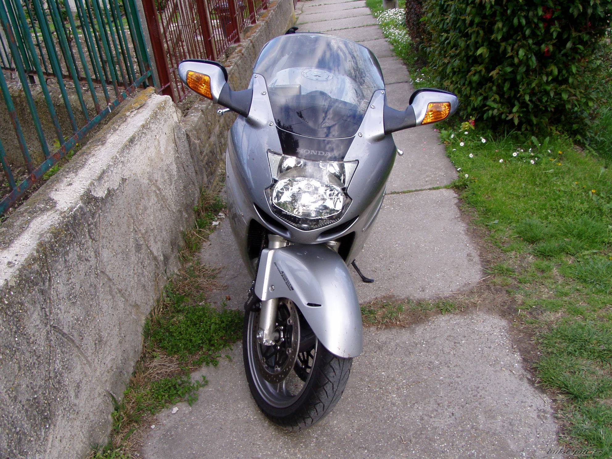 Photo 346669