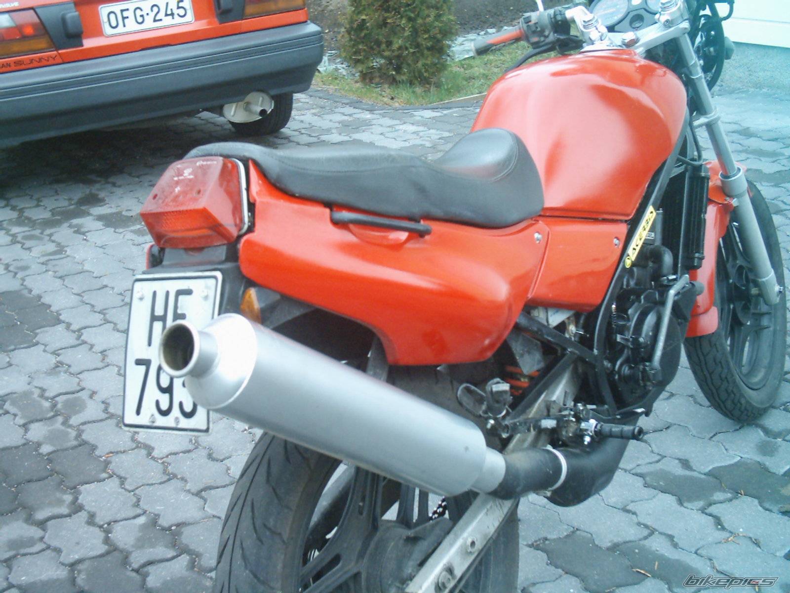 Photo 346863