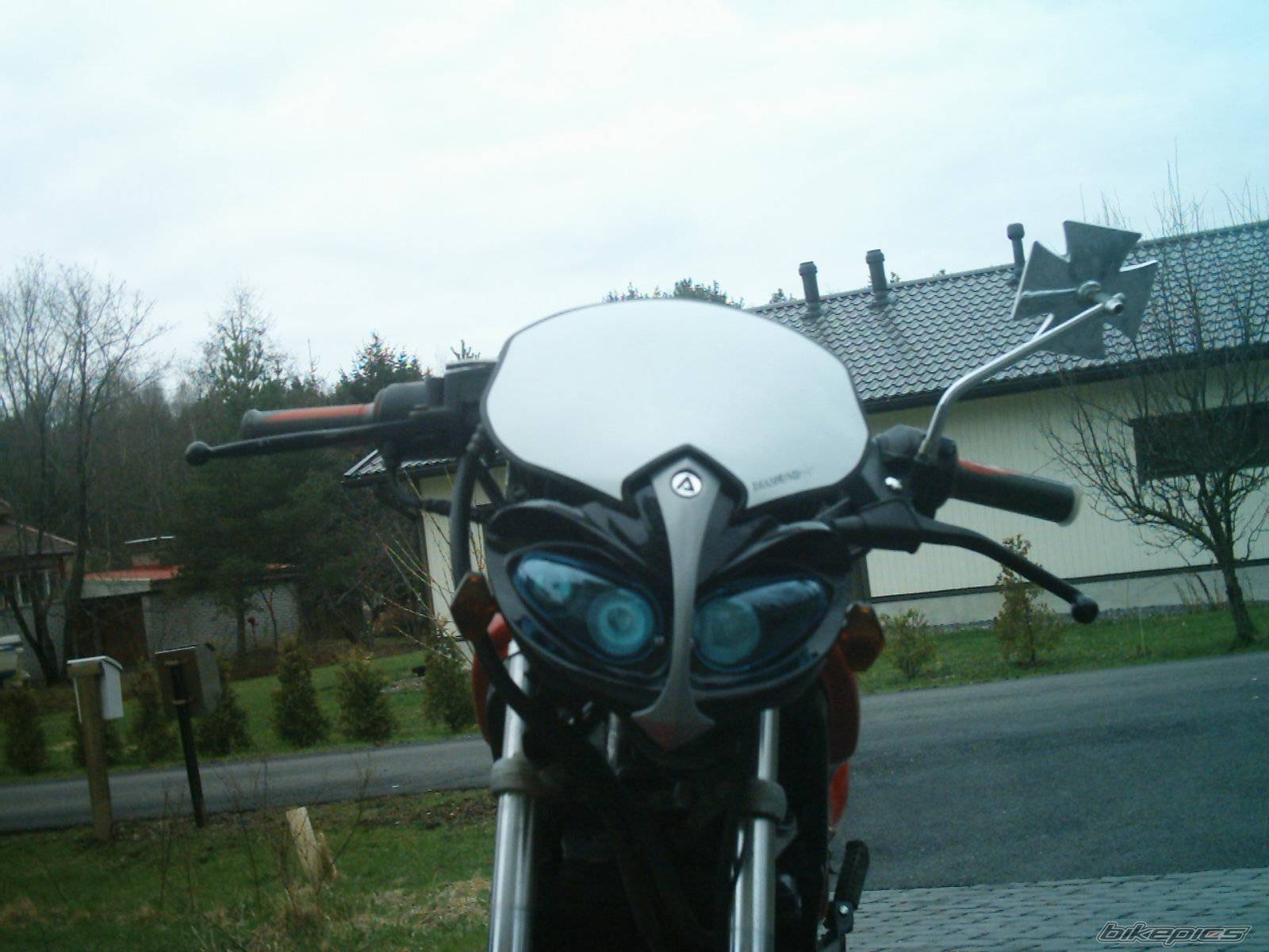 Photo 346864