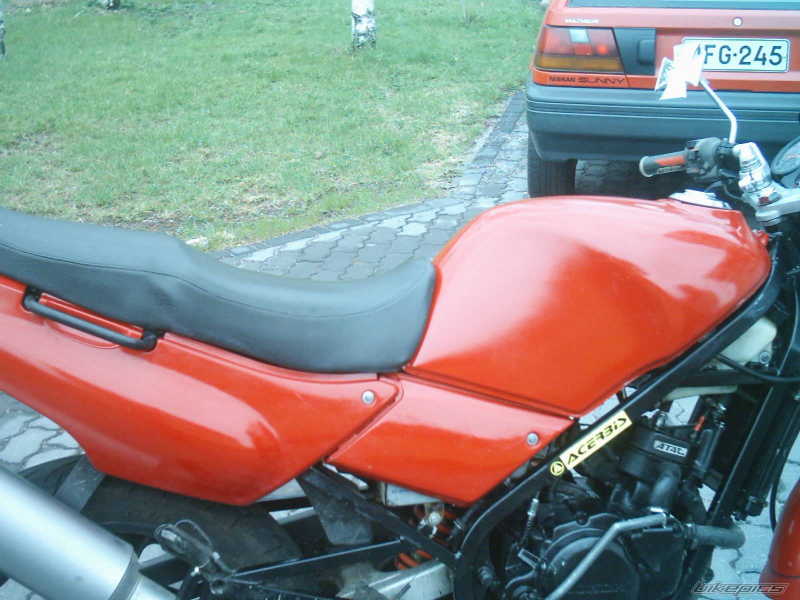 Photo 346865