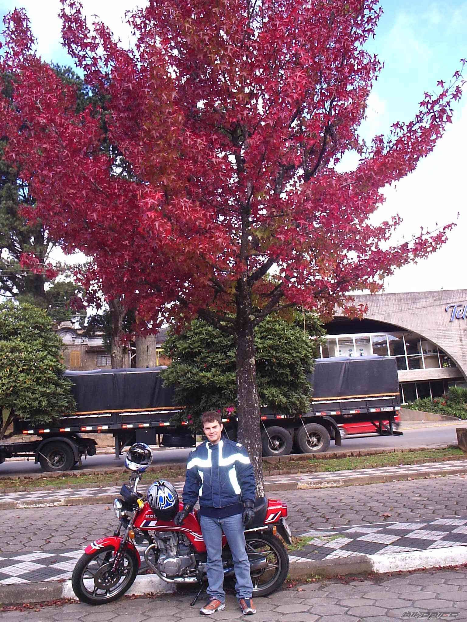 Bike Photo 346893