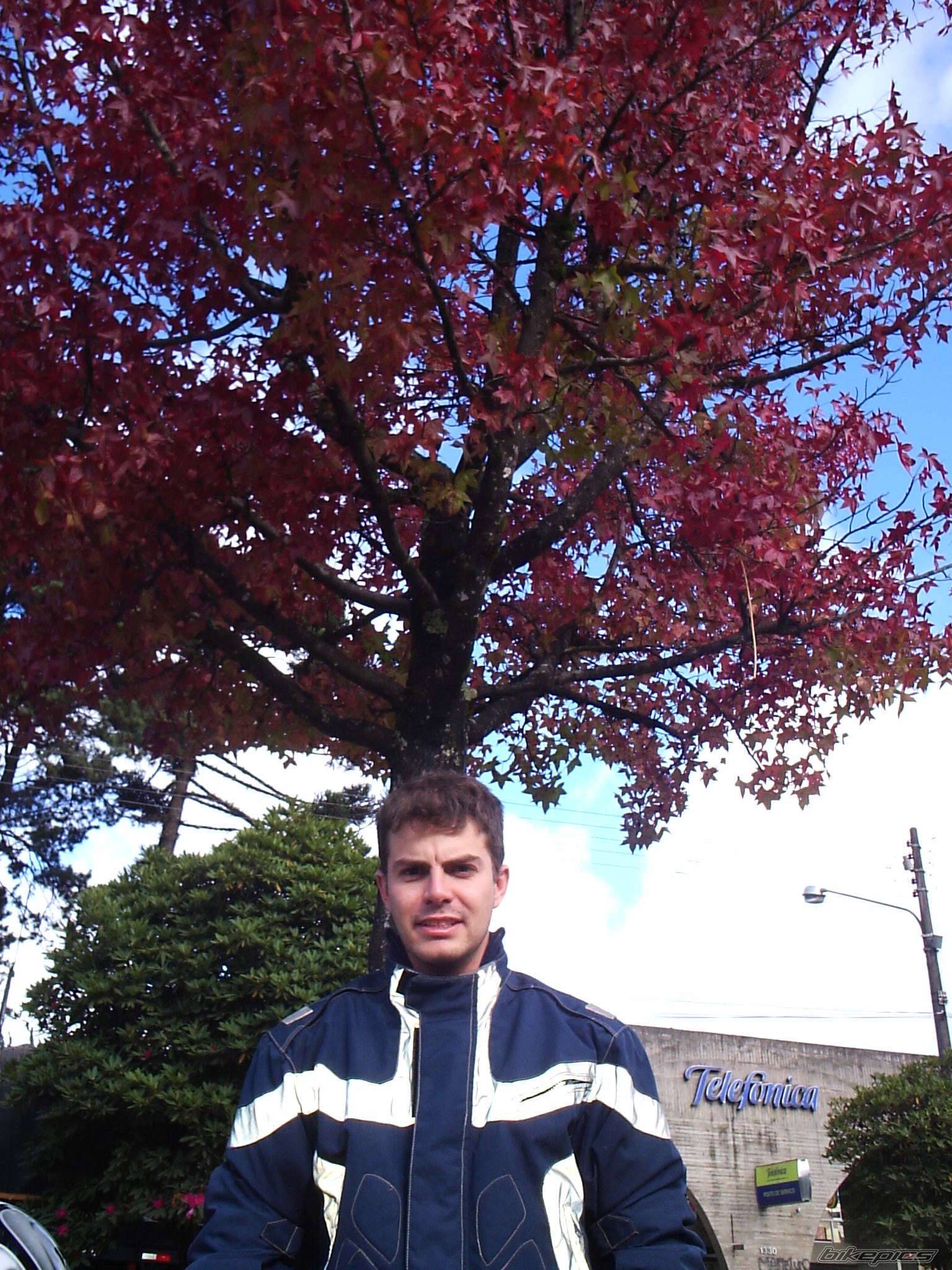Bike Photo 346904