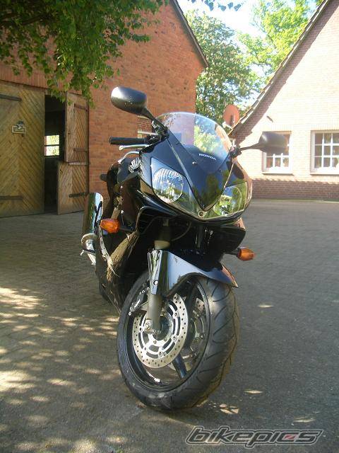 Photo 347219