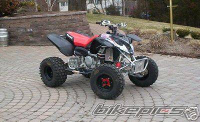 Photo 347329