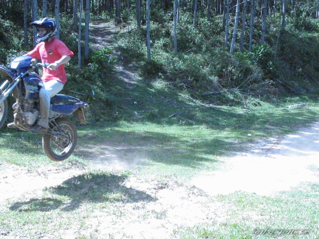 Bike Photo 347335