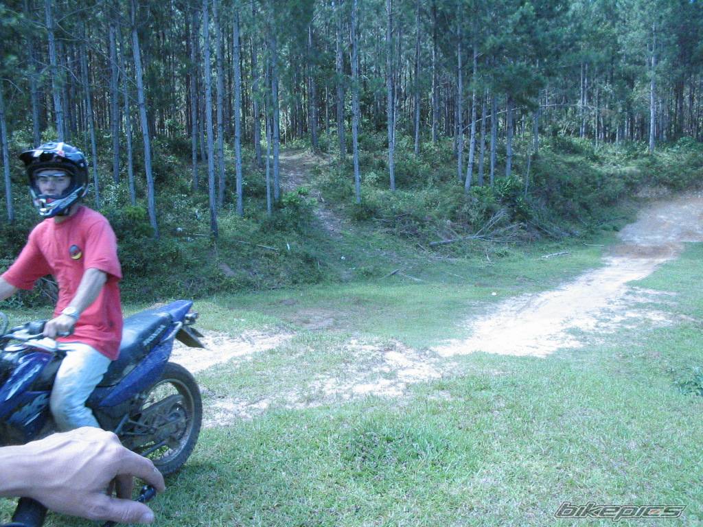 Bike Photo 347337
