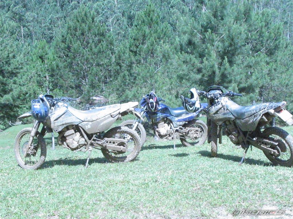 Bike Photo 347338