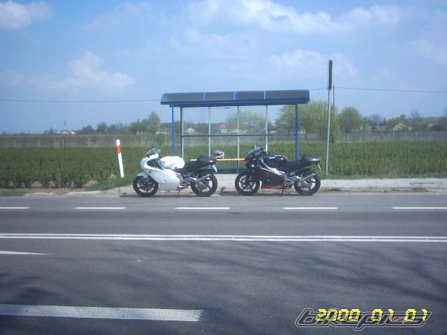 Photo 347365