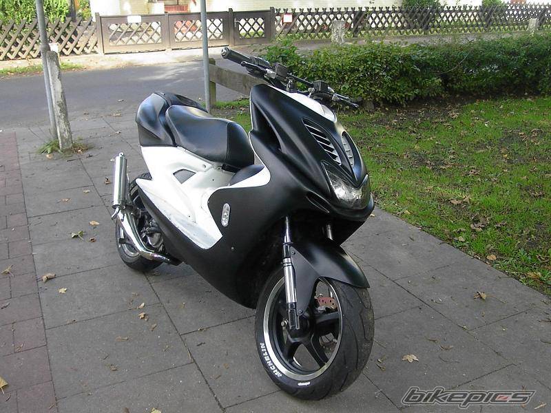 Photo 347429