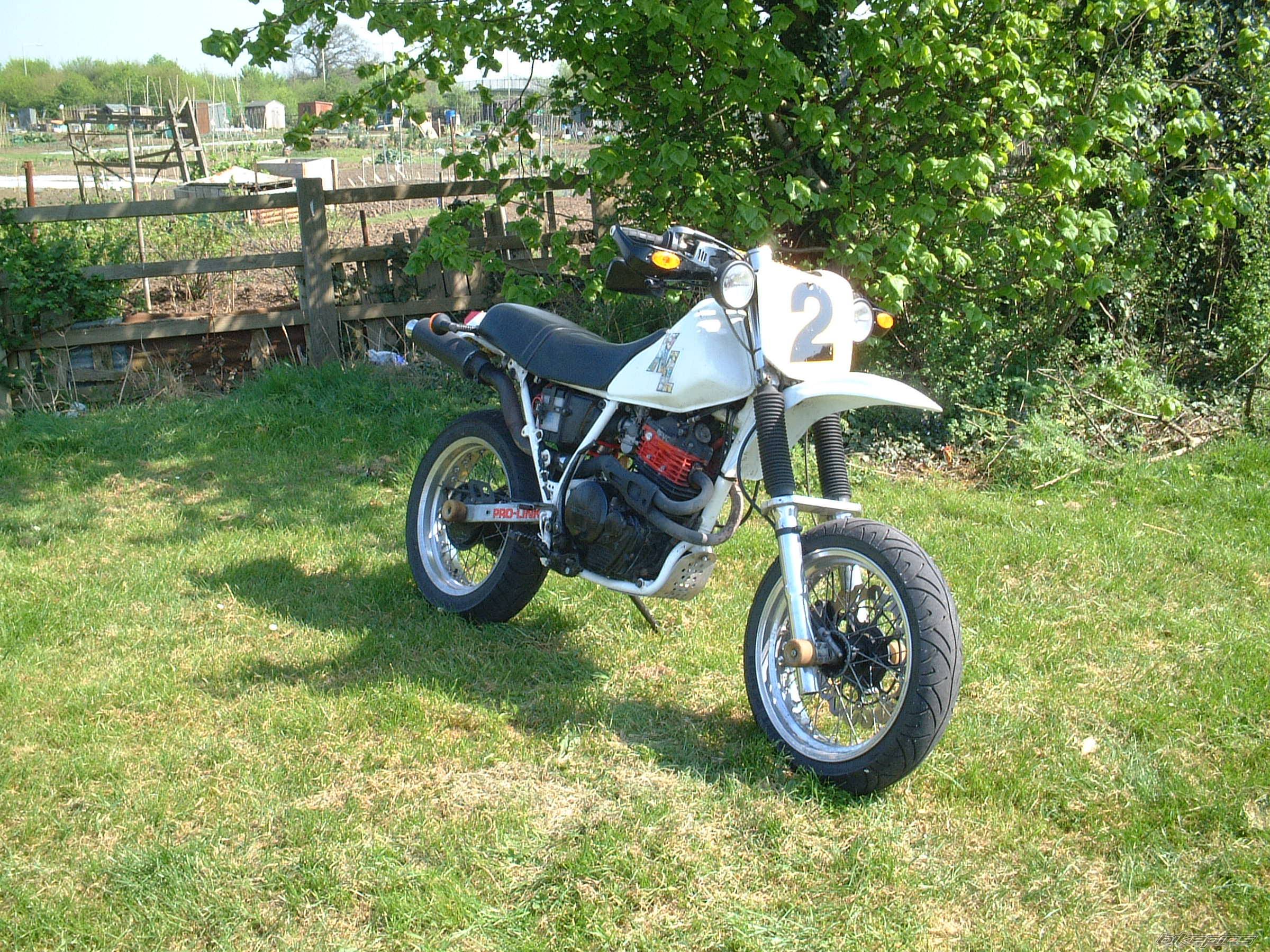 Photo 347432
