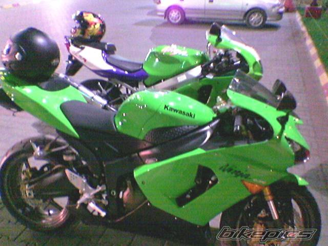 Photo 347494