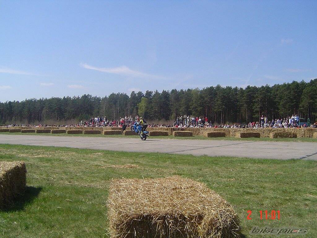 Photo 347497
