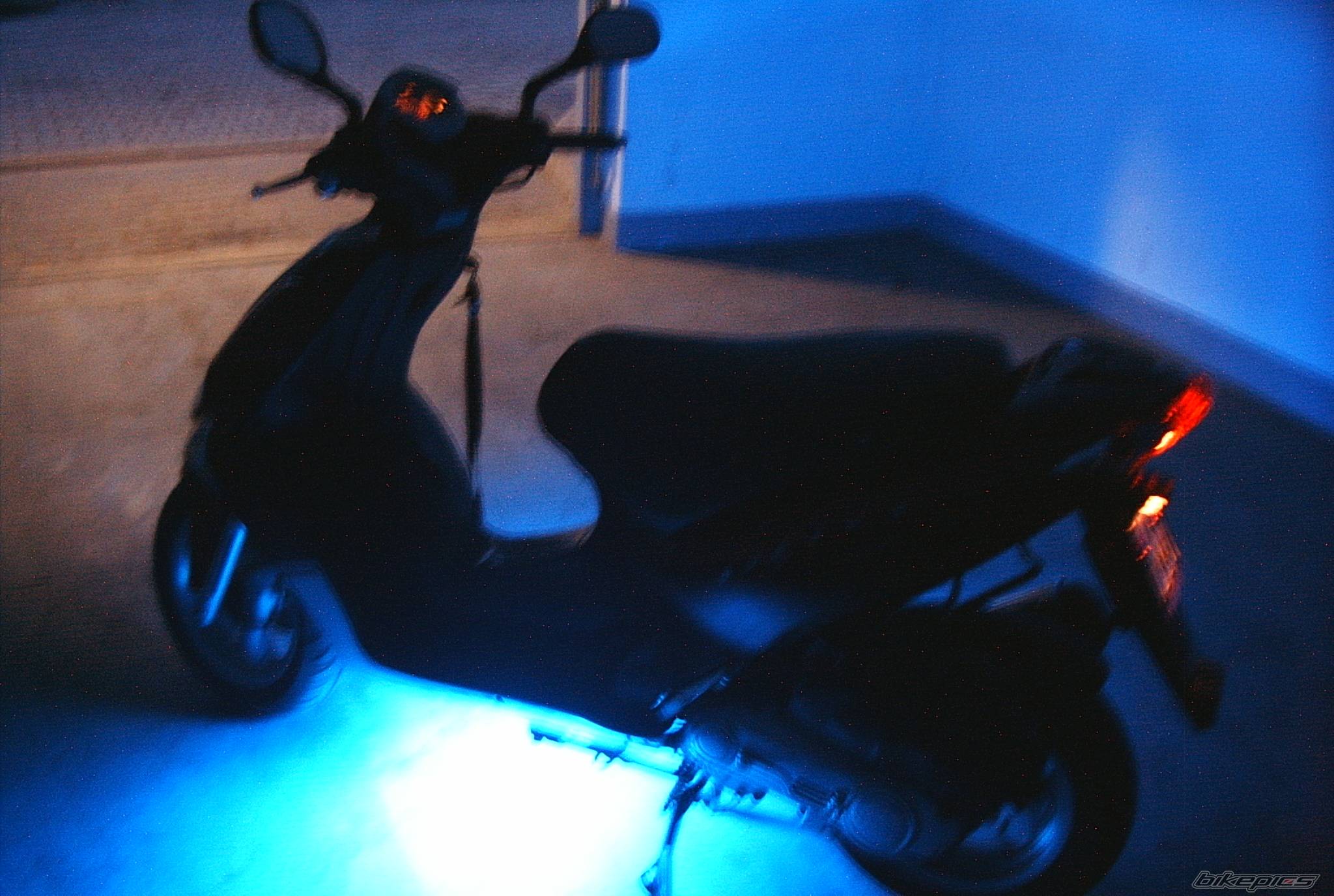 Photo 347546