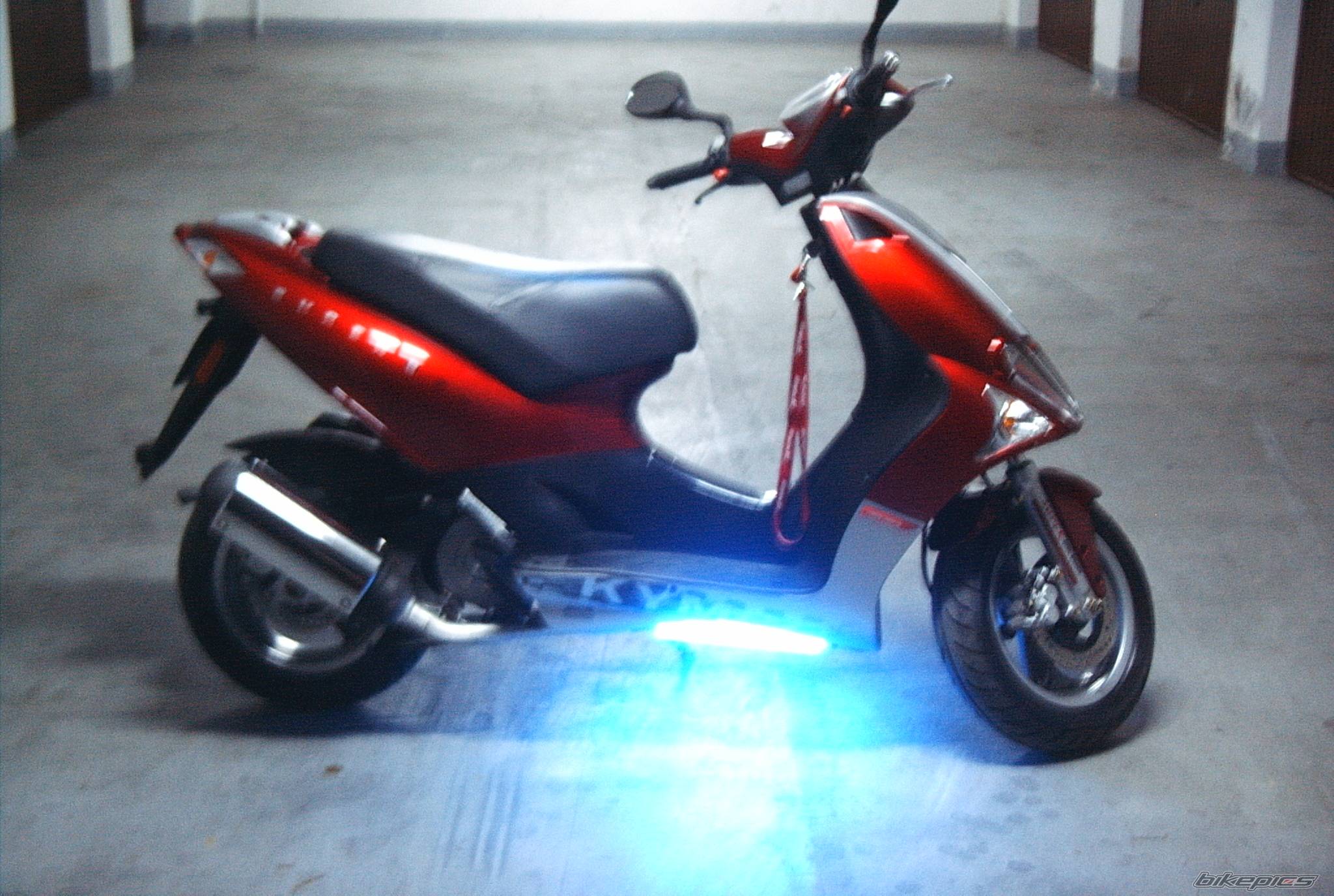 Photo 347556