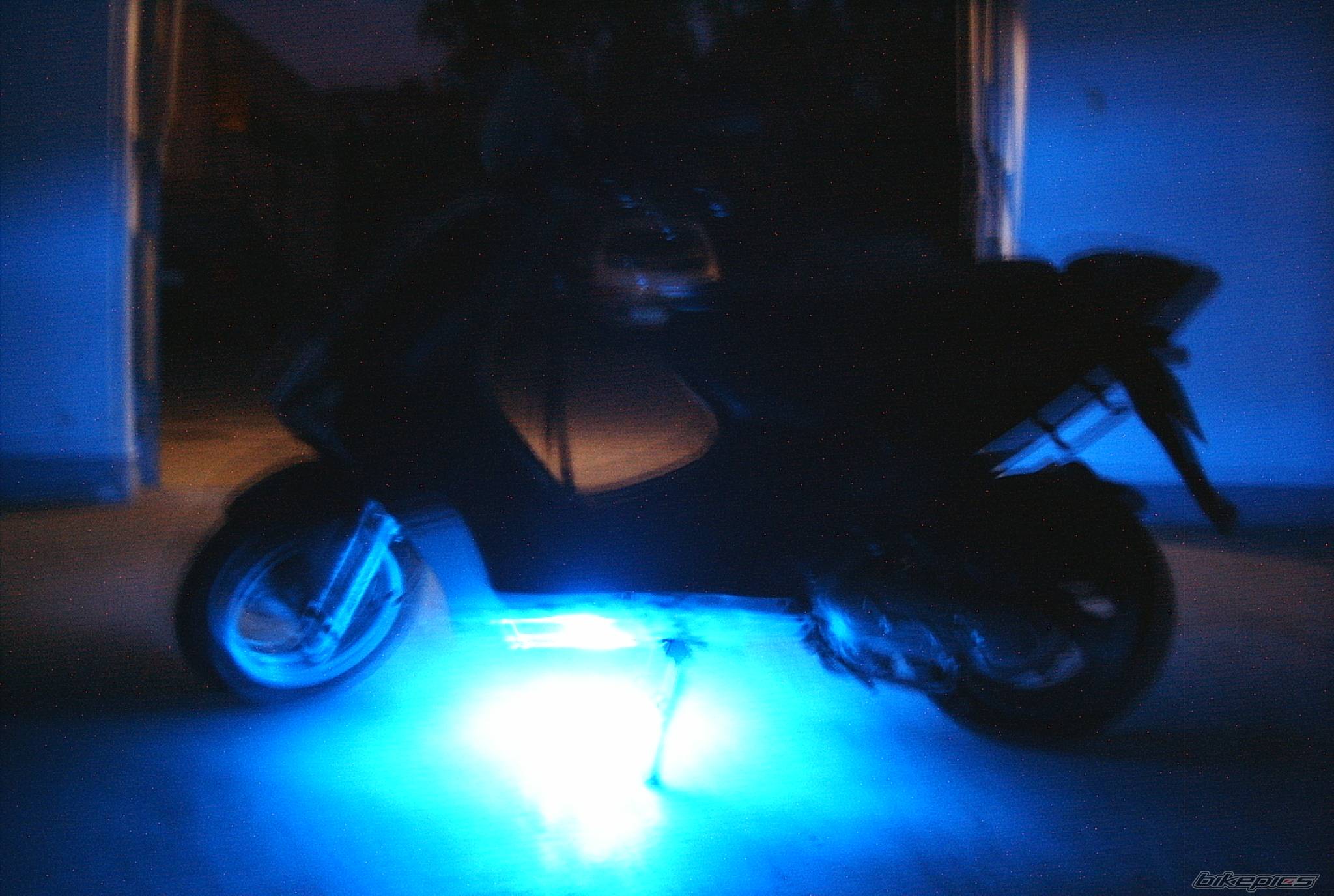Photo 347559