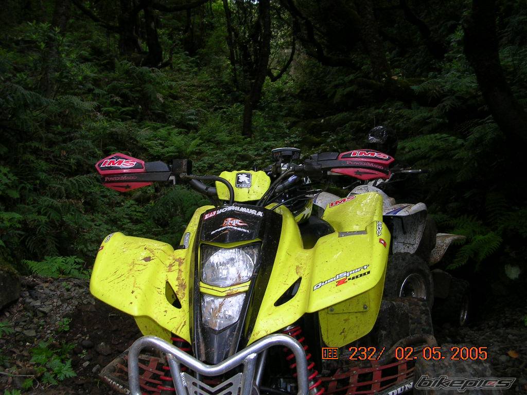 Photo 347612