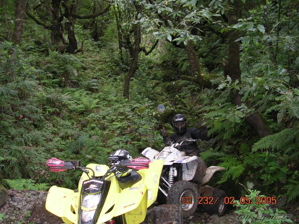 Photo 347613