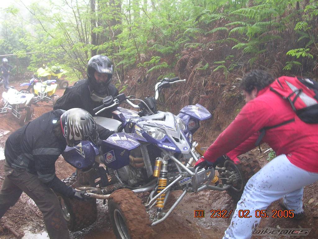 Photo 347643
