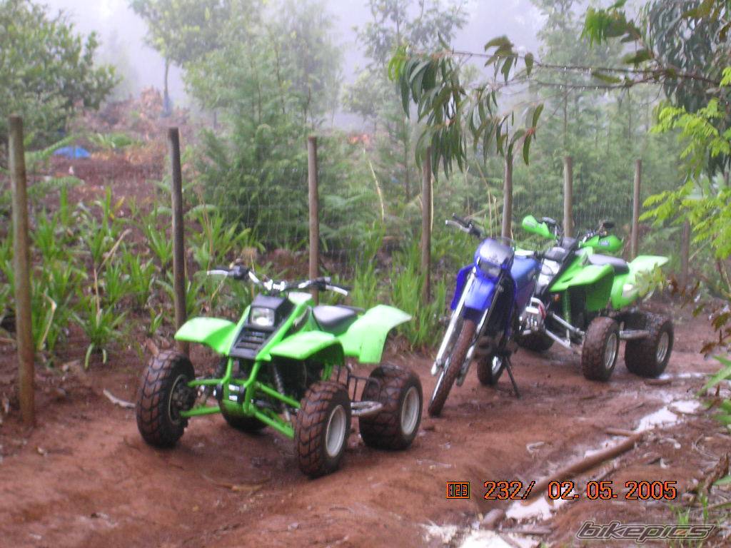 Photo 347663