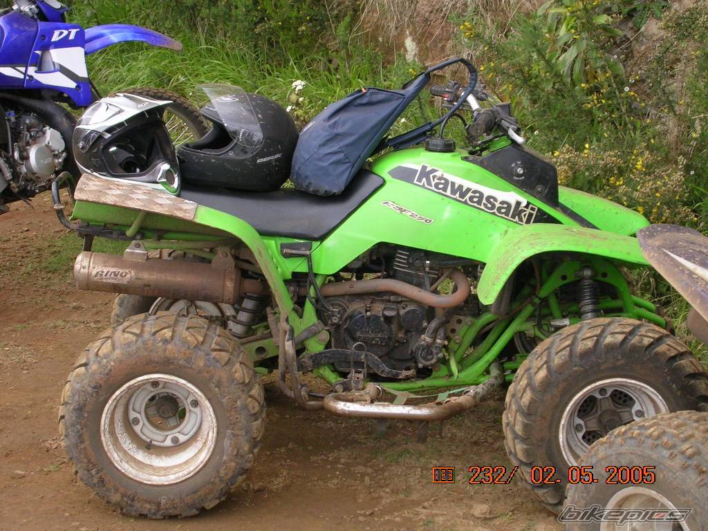 Photo 347672