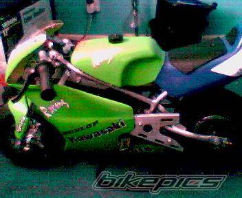 Photo 347721