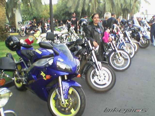 Bike Photo 347841