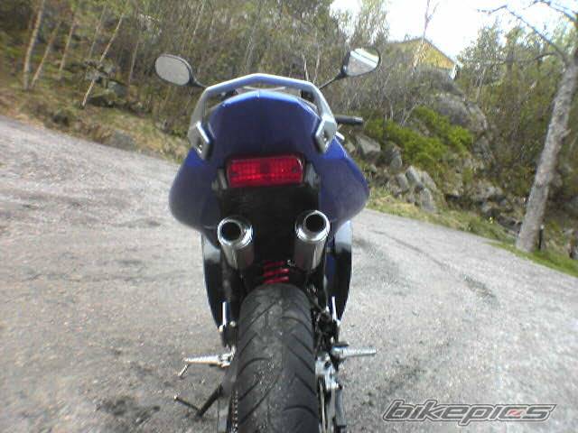 Photo 347872