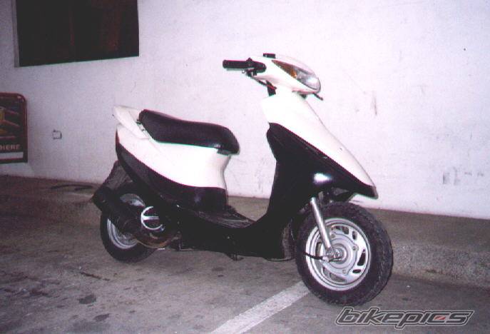 Photo 347890