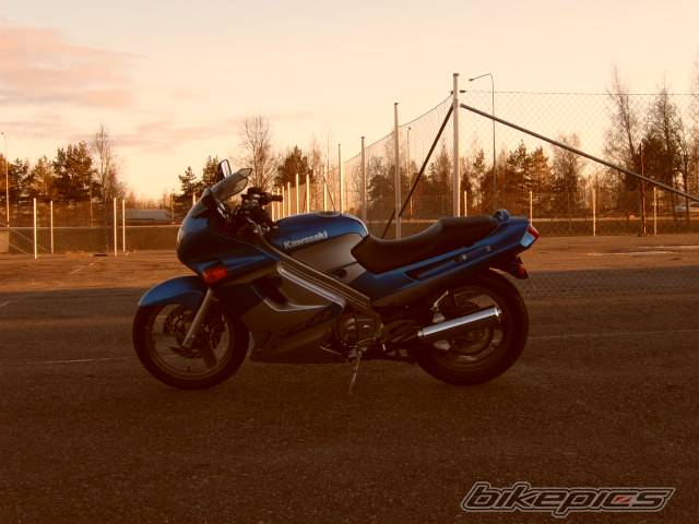Photo 347929