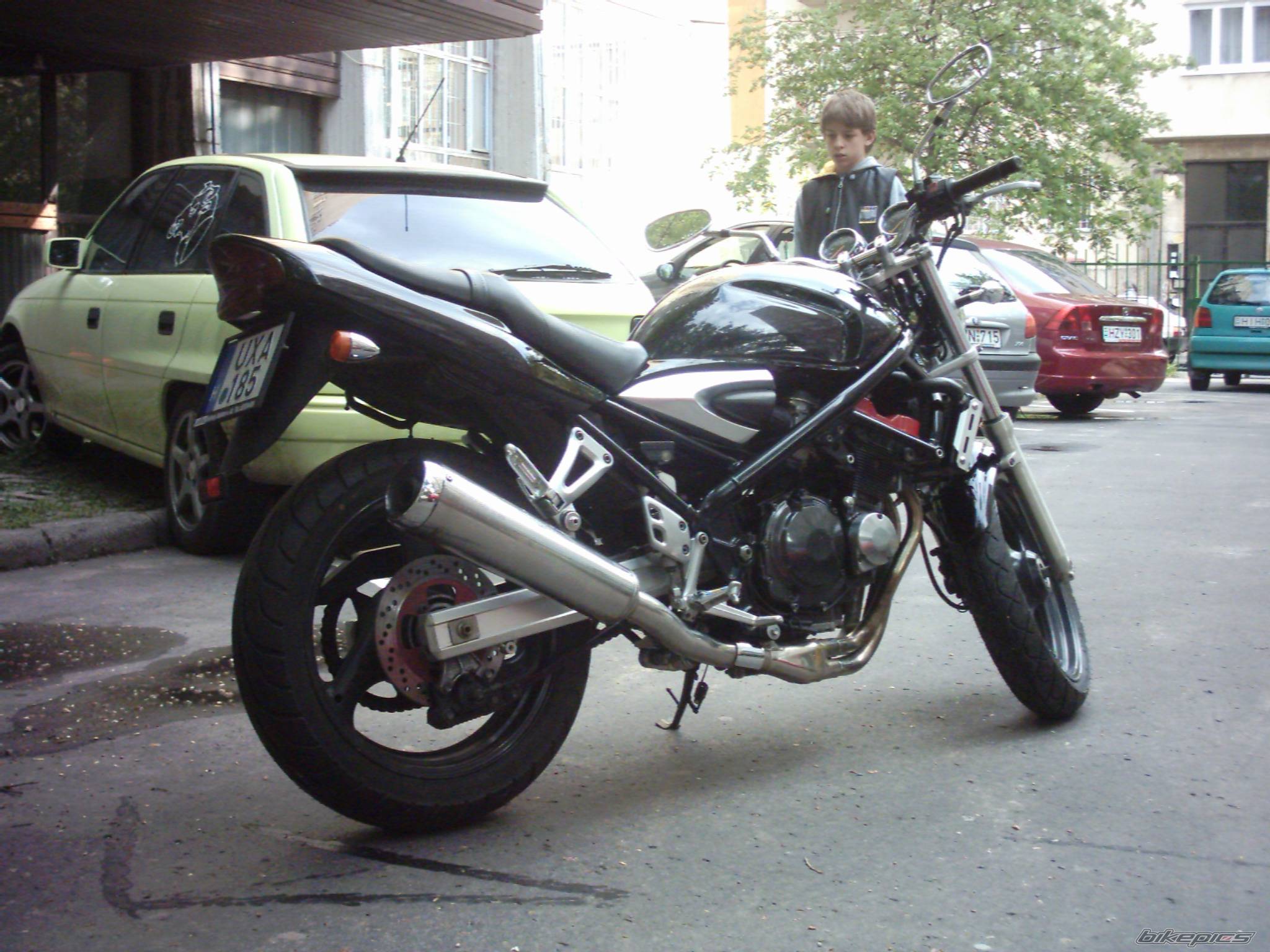 Photo 347951