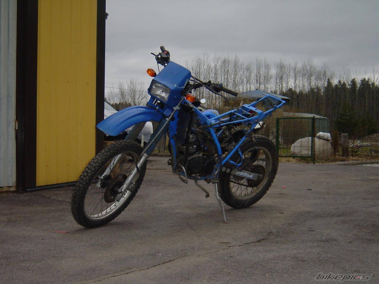 Photo 347987
