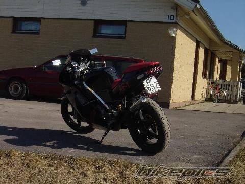 Photo 347993