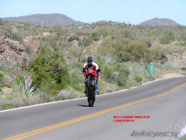 Bike Photo 348395