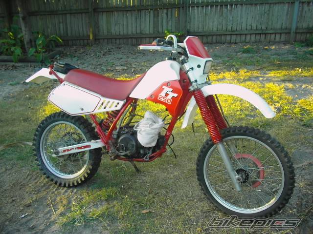 Bike Photo 348436