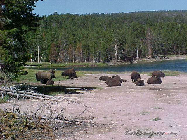 Photo 34854